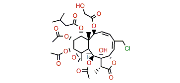 Gemmacolide AP